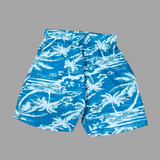 Tropical Blue Seashore Boys Printed Half Sleeve Shirt with Shorts | Cuban Collar Shirt & Shorts Set