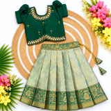 Kanmani Lehanga Set - Green Zari Weaving Banaras Skirt with paired Aariwork Top
