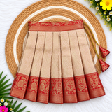 Kanmani Lehanga Set - Red Zari Weaving Banaras Skirt with paired Aari work Top