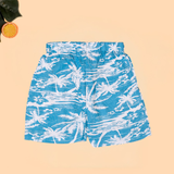 Tropical Blue Seashore Boys Printed Half Sleeve Shirt with Shorts | Cuban Collar Shirt & Shorts Set